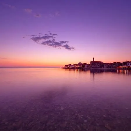 Apartment Sunny Moela Umag